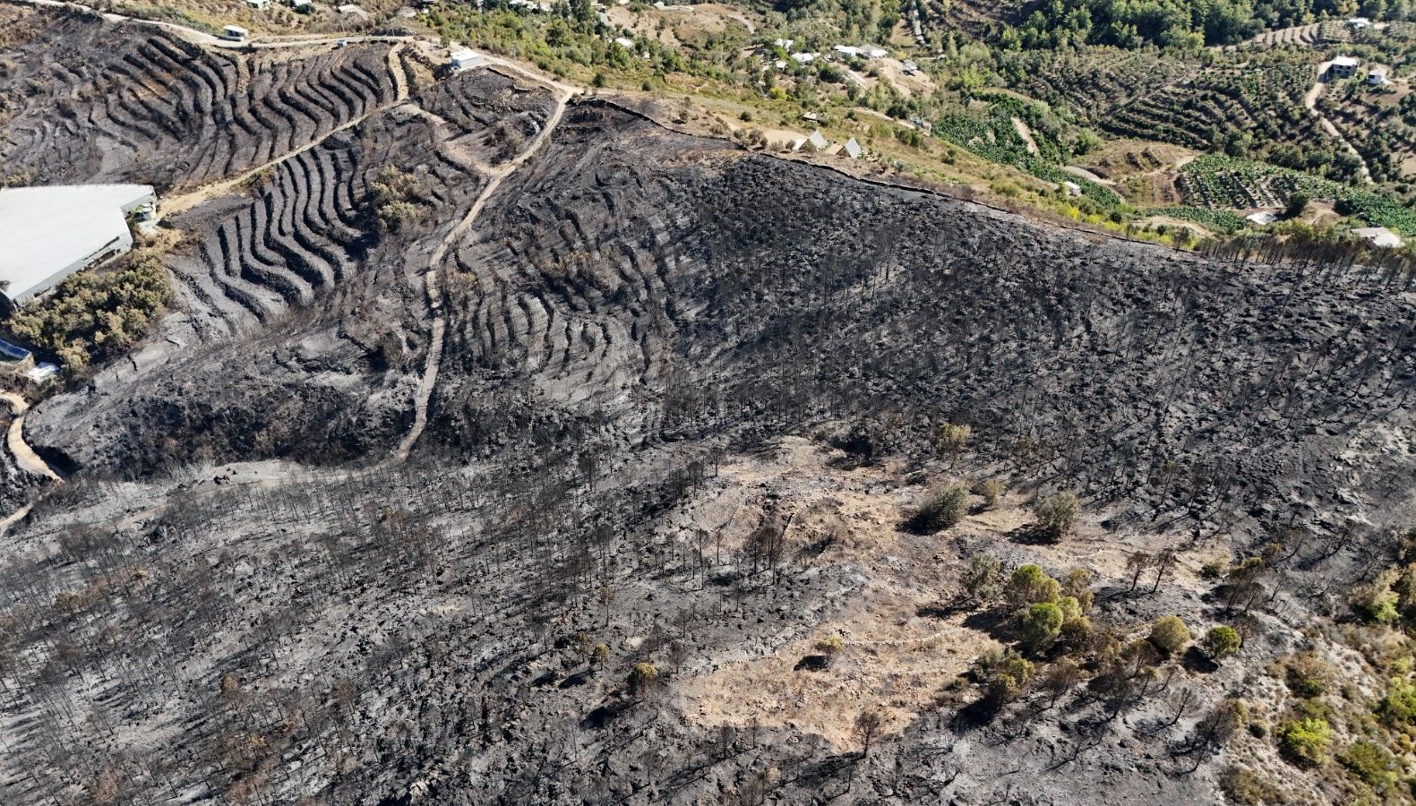 Antalya’daki orman yangının bilançosu havadan görüntülendi