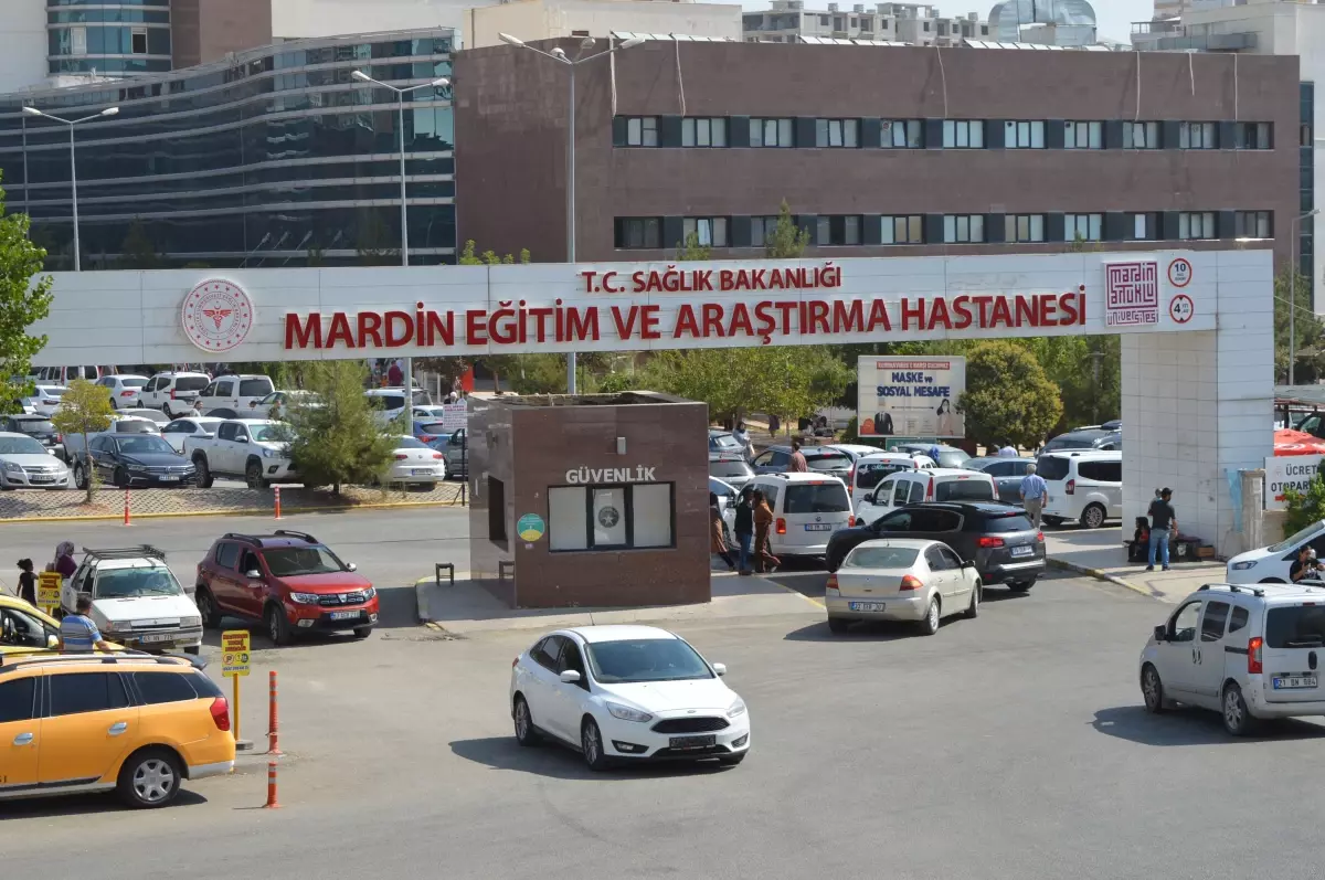 Ceviz Toplarken Düştü, Hayatını Kaybetti