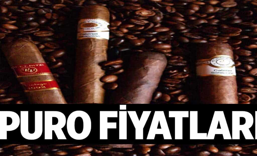 Puro Fiyatlari 1024x622t1O.jpg