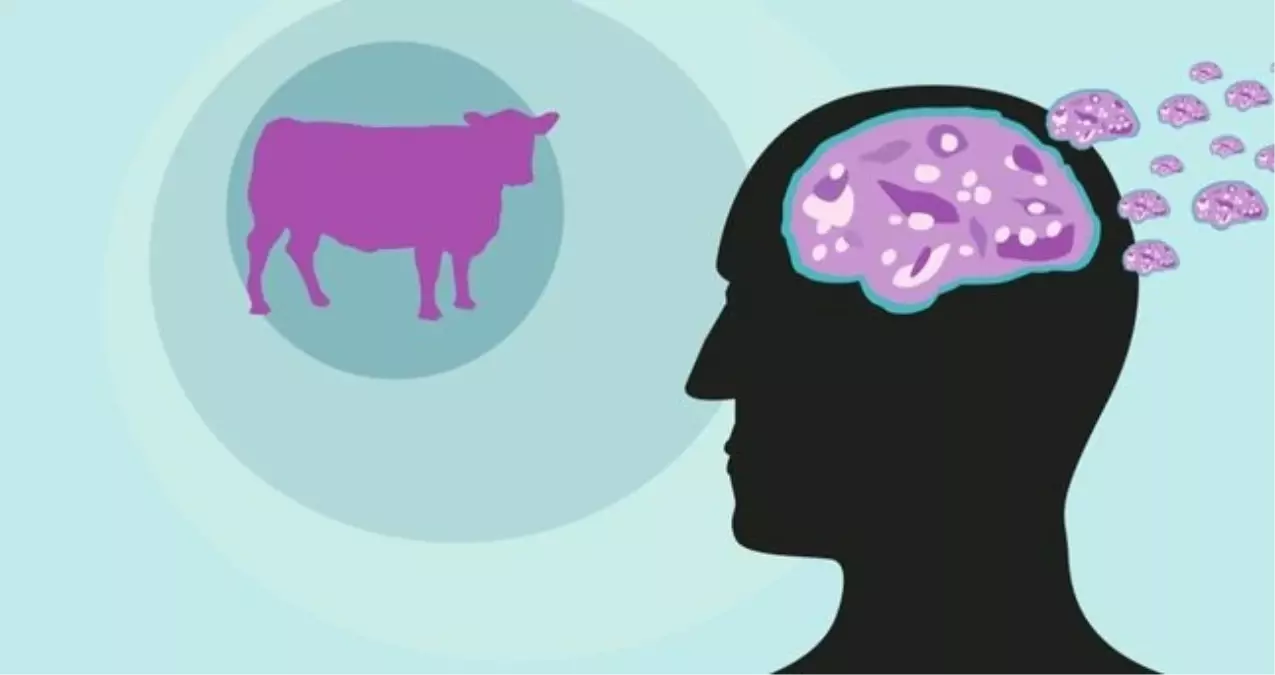 deli dana hastaligi nedir belirtileri neler deli dana hastaligi insana nasil bulasir wmIar6yP.jpg