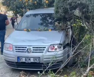 duzcede trafik kazasinda 1 kisi hayatini kaybetti A7jWuvLL.jpg