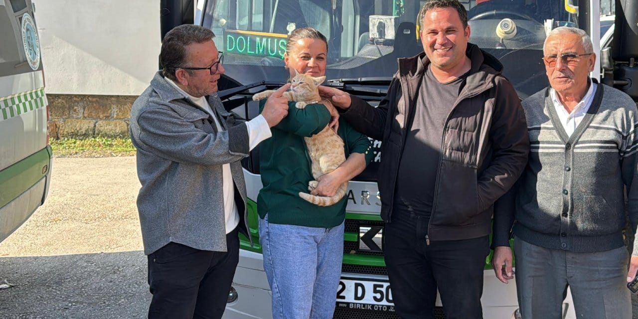 dolmus soforleri kedi icin seferber oldu ameliyat masrafini karsiladilar bakin ismini ne koydular w2FGWlHK.jpg