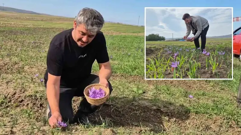topraktan servet fiskiriyor kilosunun fiyati 600 bin tl henuz cok bilinmiyor eX3PCzpU.webp