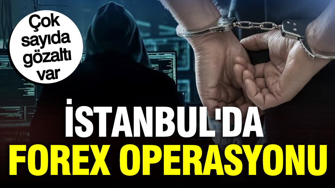 Istanbulda forex dolandiriciligi operasyonu 54 gozalti skwjhkKS
